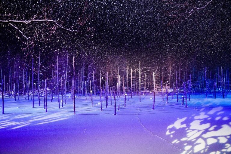 冬の白金青い池ライトアップで照らされた雪景色