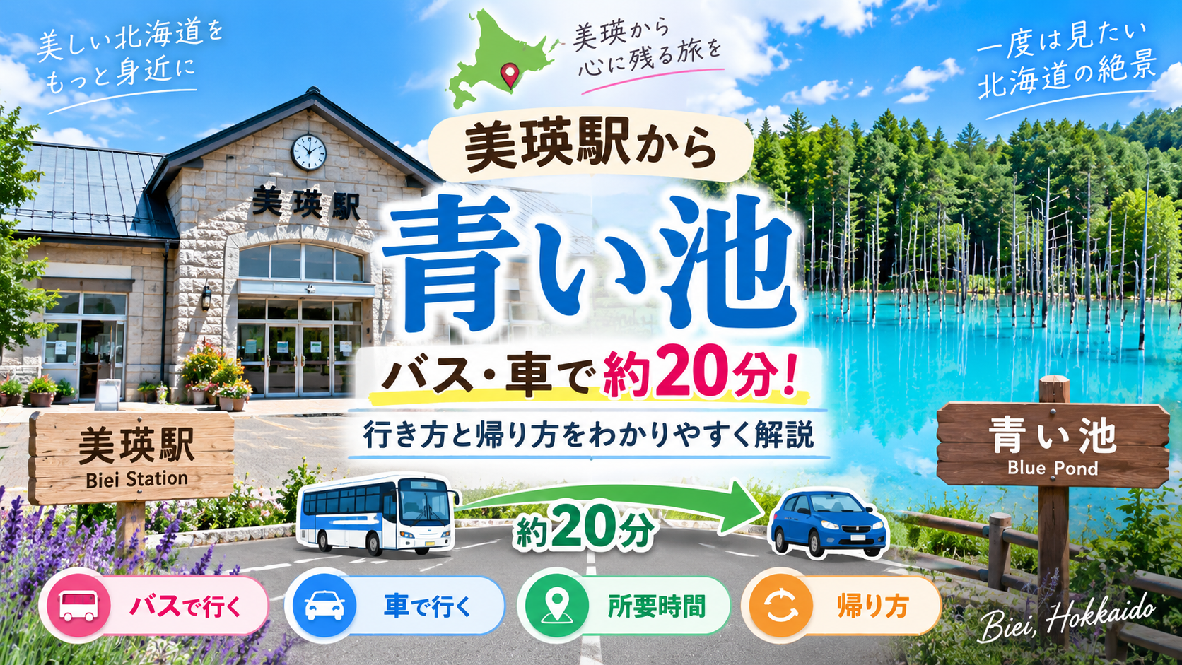 美瑛駅から青い池2026 バス・車で約20分 行き方と帰り方