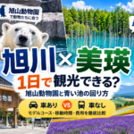 旭川と美瑛を1日で観光できる？旭山動物園と青い池、車あり・車なしの回り方を紹介するアイキャッチ