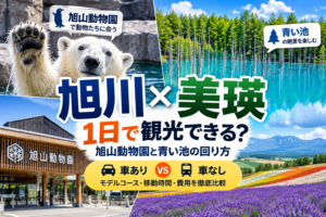 旭川と美瑛を1日で観光できる？旭山動物園と青い池、車あり・車なしの回り方を紹介するアイキャッチ