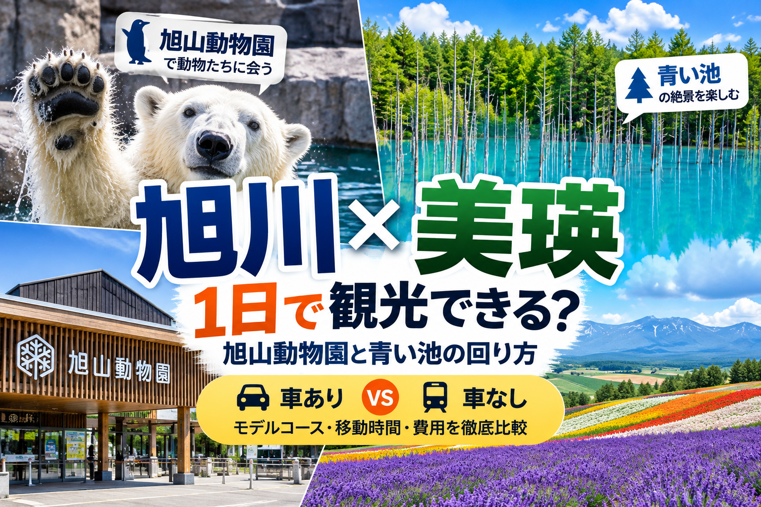 旭川と美瑛を1日で観光できる？旭山動物園と青い池、車あり・車なしの回り方を紹介するアイキャッチ