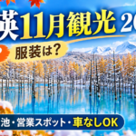 美瑛11月観光2026のガイド用アイキャッチ｜雪・服装・青い池・営業スポット・車なし観光を紹介するAI生成イメージ